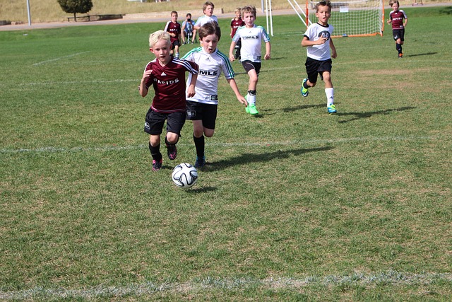 战中贡献了 战中贡献了