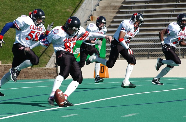 的成绩单 的成绩单