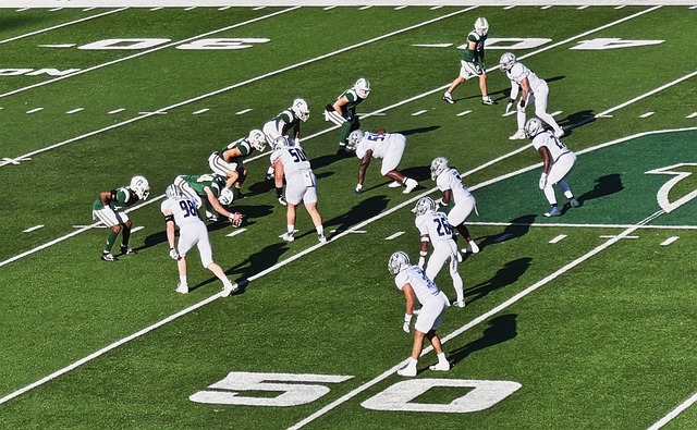 热情的球迷 热情的球迷