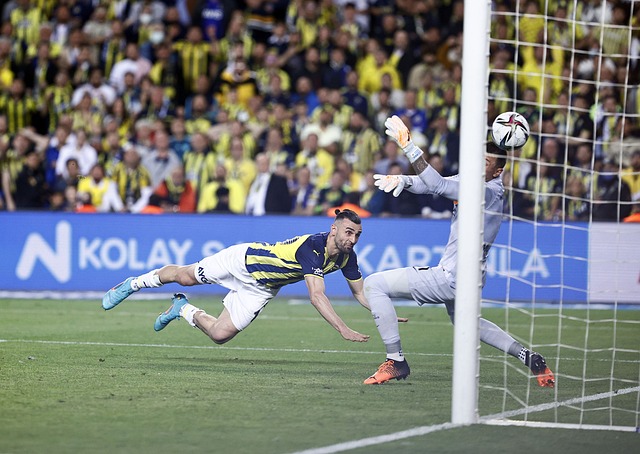 这场金州勇 这场金州勇